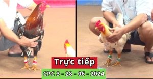 Trực Tiếp thomo CPC3 ngày 28-06-2024