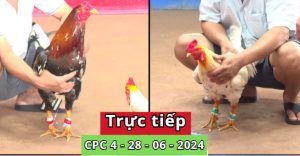 Trực Tiếp thomo CPC4 ngày 28-06-2024