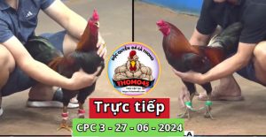 Trực Tiếp thomo CPC3 ngày 27-06-2024