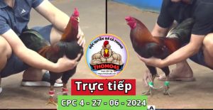 Trực Tiếp thomo CPC4 ngày 27-06-2024