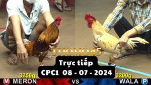 Trực Tiếp thomo CPC1 ngày 08-07-2024