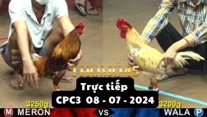 Trực Tiếp thomo CPC3 ngày 08-07-2024