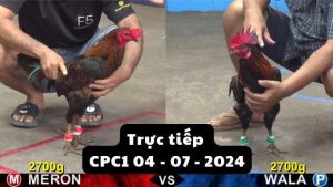 Trực Tiếp thomo CPC1 ngày 04-07-2024