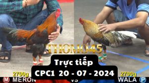 Trực Tiếp thomo CPC1 ngày 20-07-2024