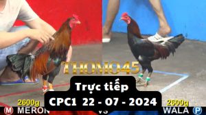 Trực Tiếp thomo CPC1 ngày 22-07-2024