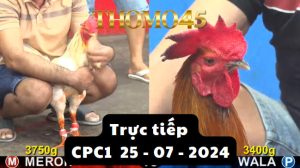 Trực Tiếp thomo CPC1 ngày 25-07-2024