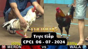 Trực Tiếp thomo CPC1 ngày 06-07-2024