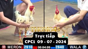 Trực Tiếp thomo CPC1 ngày 09-07-2024