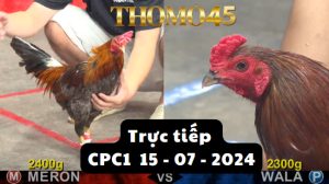 Trực Tiếp thomo CPC1 ngày 15-07-2024