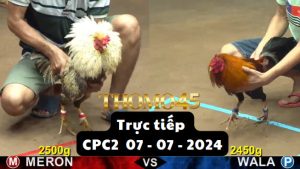 Trực Tiếp thomo CPC2 ngày 07-07-2024