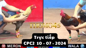 Trực Tiếp thomo CPC2 ngày 10-07-2024