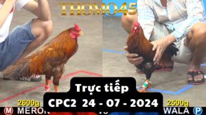 Trực Tiếp thomo CPC2 ngày 24-07-2024