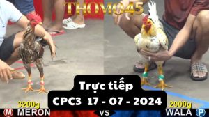 Trực Tiếp thomo CPC3 ngày 17-07-2024