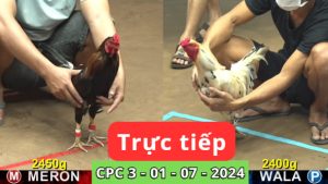 Trực Tiếp thomo CPC3 ngày 01-07-2024