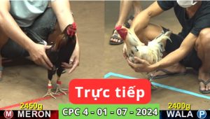 Trực Tiếp thomo CPC4 ngày 01-07-2024