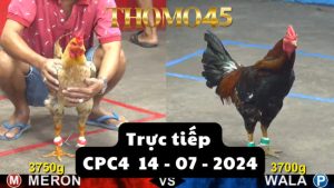 Trực Tiếp thomo CPC4 ngày 14-07-2024