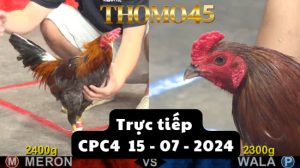 Trực Tiếp thomo CPC4 ngày 15-07-2024