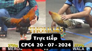 Trực Tiếp thomo CPC4 ngày 20-07-2024