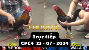 Trực Tiếp thomo CPC4 ngày 23-07-2024