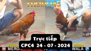 Trực Tiếp thomo CPC4 ngày 24-07-2024