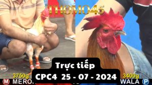 Trực Tiếp thomo CPC4 ngày 25-07-2024
