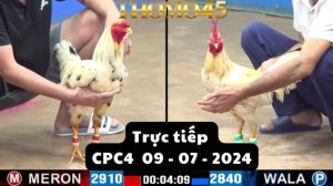 Trực Tiếp thomo CPC4 ngày 09-07-2024