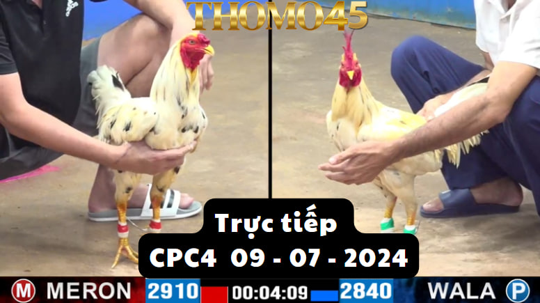 Trực Tiếp thomo CPC4 ngày 09-07-2024