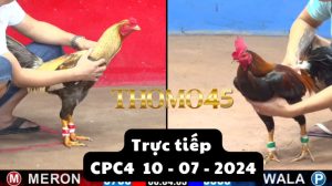 Trực Tiếp thomo CPC4 ngày 10-07-2024