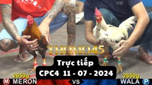 Trực Tiếp thomo CPC4 ngày 11-07-2024