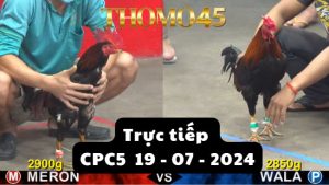 Trực Tiếp thomo CPC5 ngày 19-07-2024