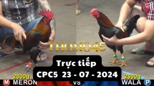 Trực Tiếp thomo CPC5 ngày 23-07-2024