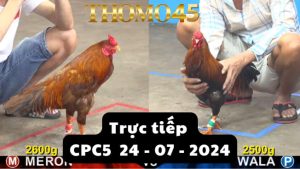 Trực Tiếp thomo CPC5 ngày 24-07-2024