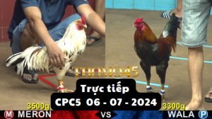Trực Tiếp thomo CPC5 ngày 06-07-2024