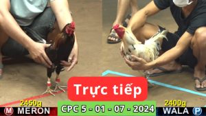 Trực Tiếp thomo CPC5 ngày 01-07-2024