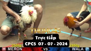 Trực Tiếp thomo CPC5 ngày 07-07-2024