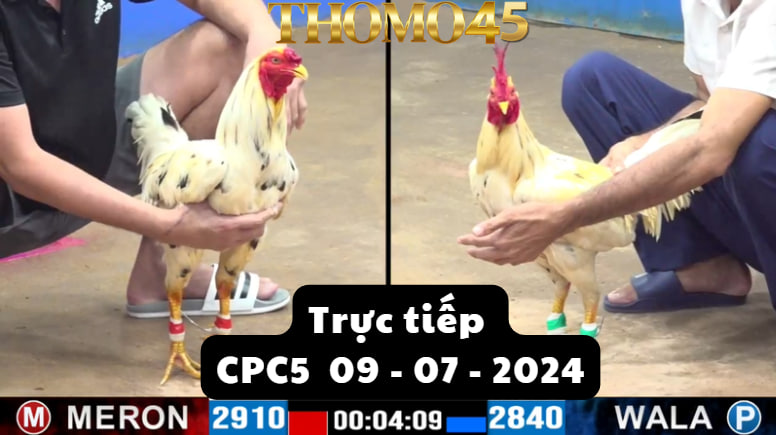 Trực Tiếp thomo CPC5 ngày 09-07-2024