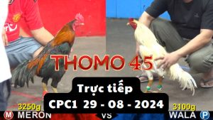 Trực Tiếp thomo CPC1 ngày 29-08-2024