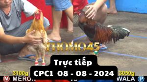 Trực Tiếp thomo CPC1 ngày 08-08-2024