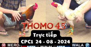 Trực Tiếp thomo CPC1 ngày 24-08-2024