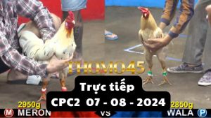 Trực Tiếp thomo CPC2 ngày 07-08-2024