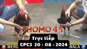 Trực Tiếp thomo CPC3 ngày 20-08-2024