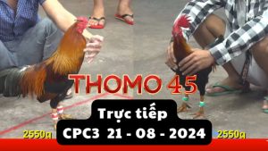 Trực Tiếp thomo CPC3 ngày 21-08-2024