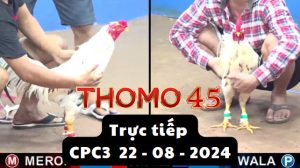 Trực Tiếp thomo CPC3 ngày 22-08-2024