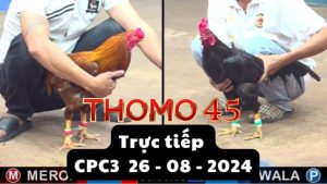Trực Tiếp thomo CPC3 ngày 26-08-2024