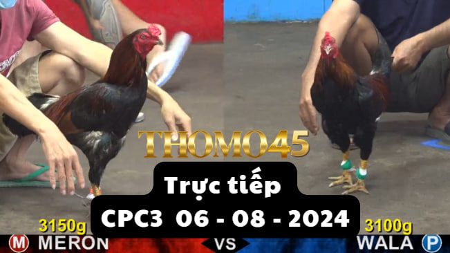 Trực Tiếp thomo CPC3 ngày 06-08-2024