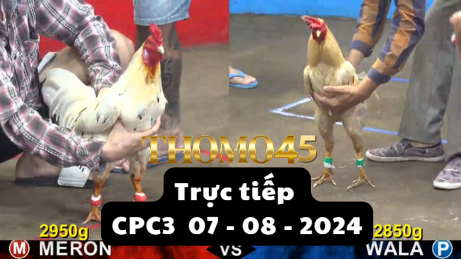 Trực Tiếp thomo CPC3 ngày 07-08-2024