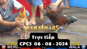 Trực Tiếp thomo CPC3 ngày 08-08-2024