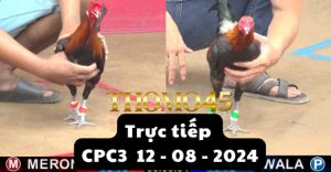 Trực Tiếp thomo CPC3 ngày 12-08-2024