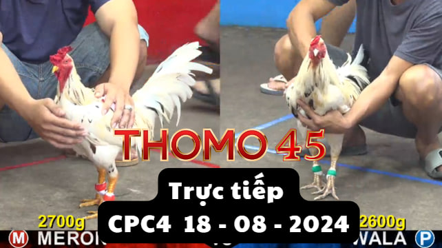 Trực Tiếp thomo CPC4 ngày 18-08-2024