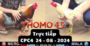 Trực Tiếp thomo CPC4 ngày 24-08-2024